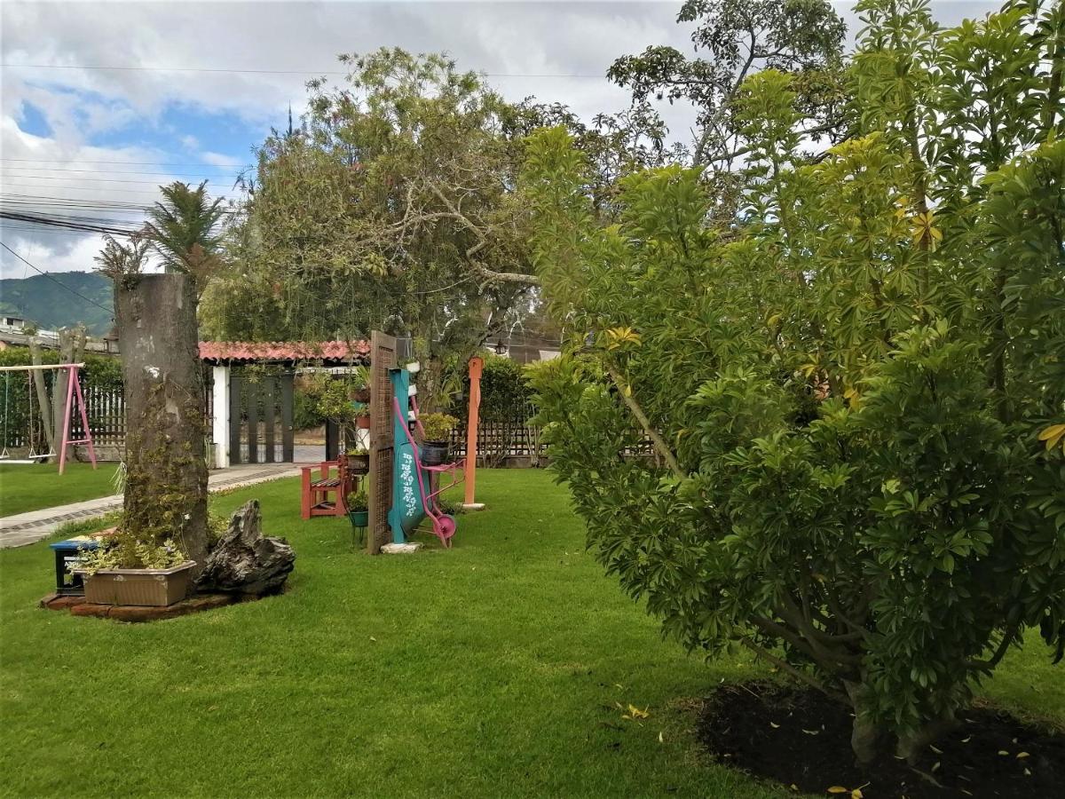 Chester'S B&B Tababela Exterior photo